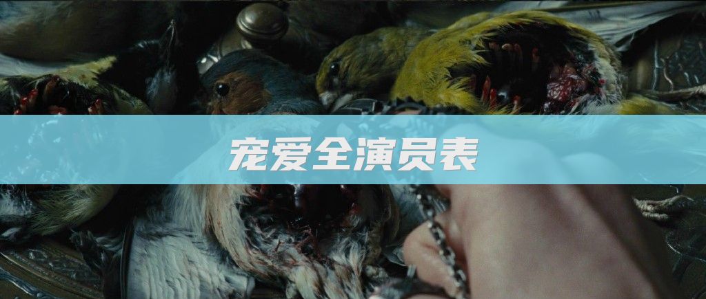 宠爱全演员表