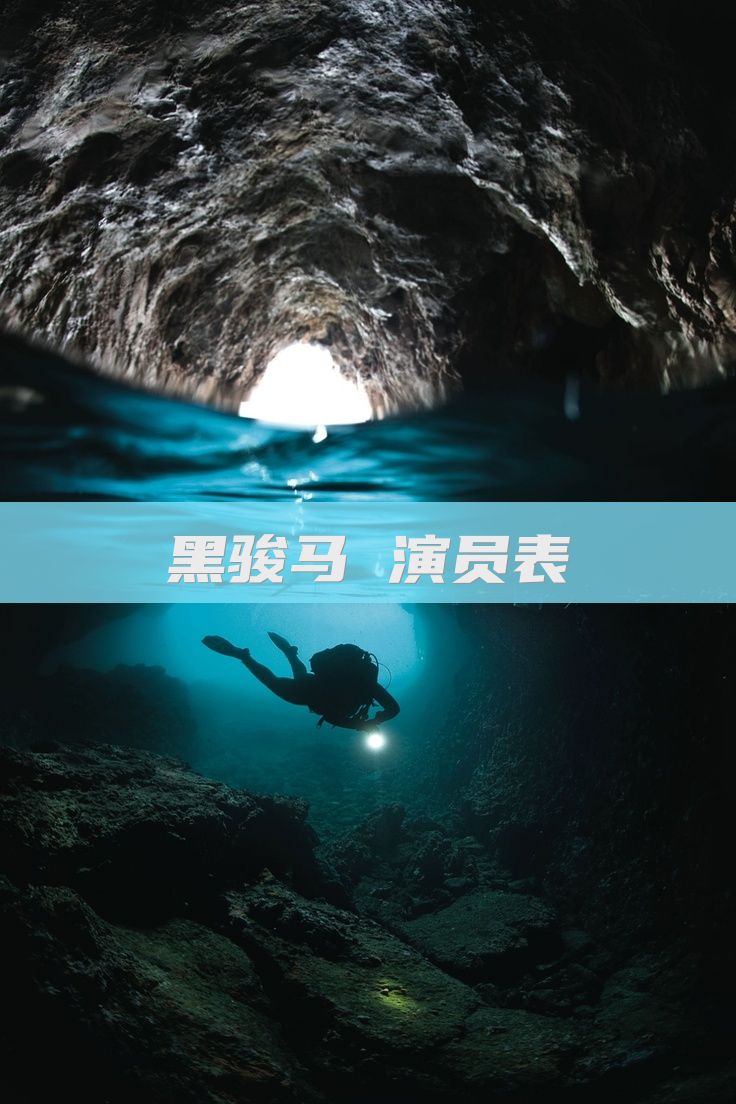 黑骏马 演员表
